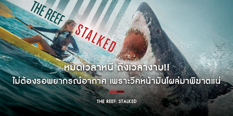 หมดเวลาหนี ถึงเวลางาบ!! ไม่ต้องรอพยากรณ์อากาศ เพราะวีคหน้ามันโผล่มาพิฆาตแน่ “The Reef: Stalked ครีบพิฆาต” 22 กันยายนนี้ ในโรงภาพยนตร์